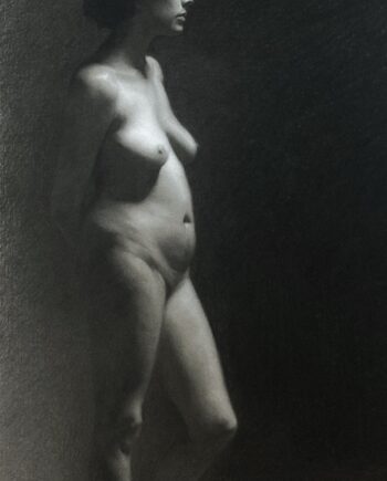 Charcoal drawing 13